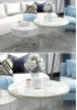 Amber Coffee Table Set of Two 